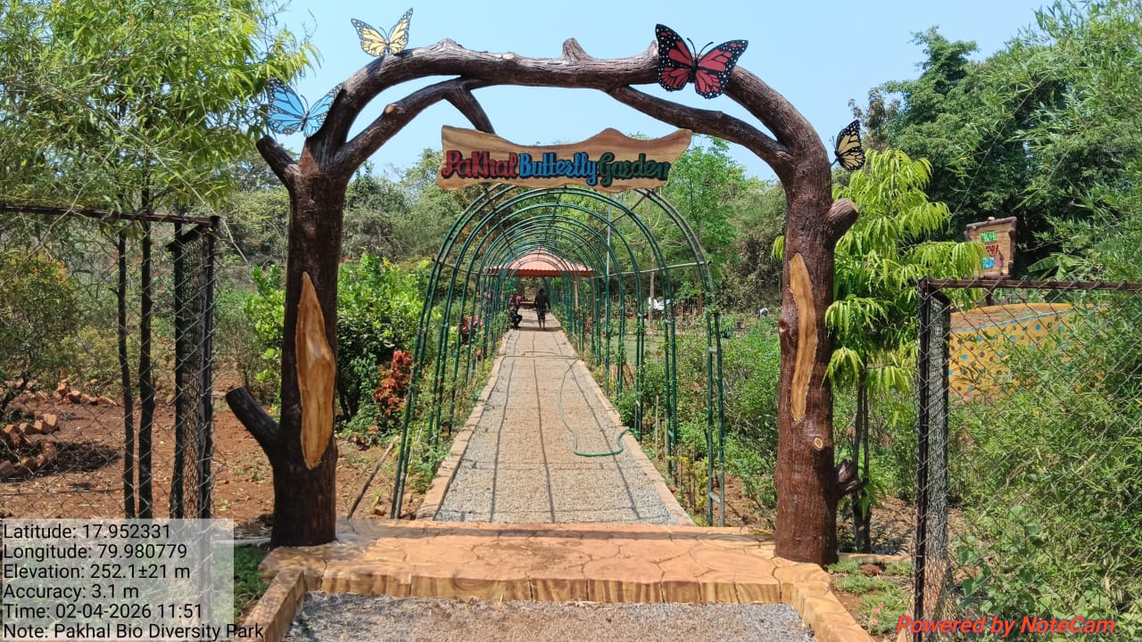 Pakhal Butterfly Gardens